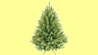 Click to view detail